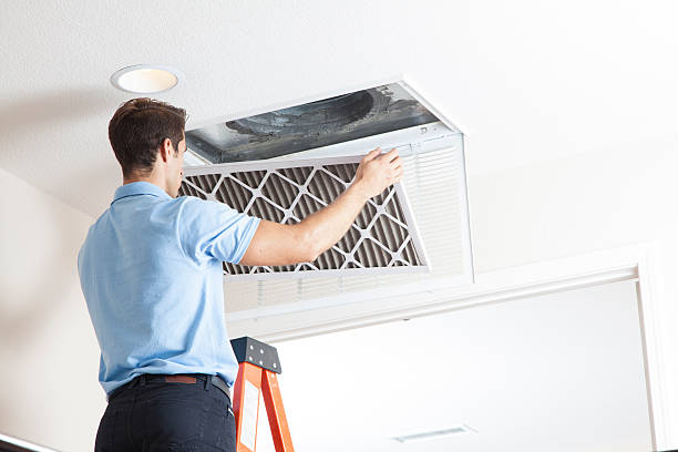 Best HVAC maintenance near me  in Mango, FL
